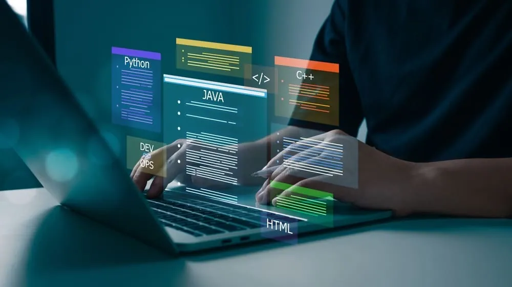IT & Development